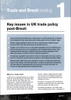 Key Issues in UK Trade Policy Post-Brexit