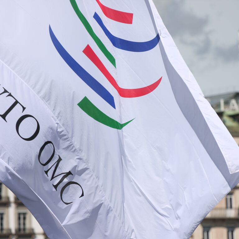 WTO Flag at the WTO Public Forum 2010